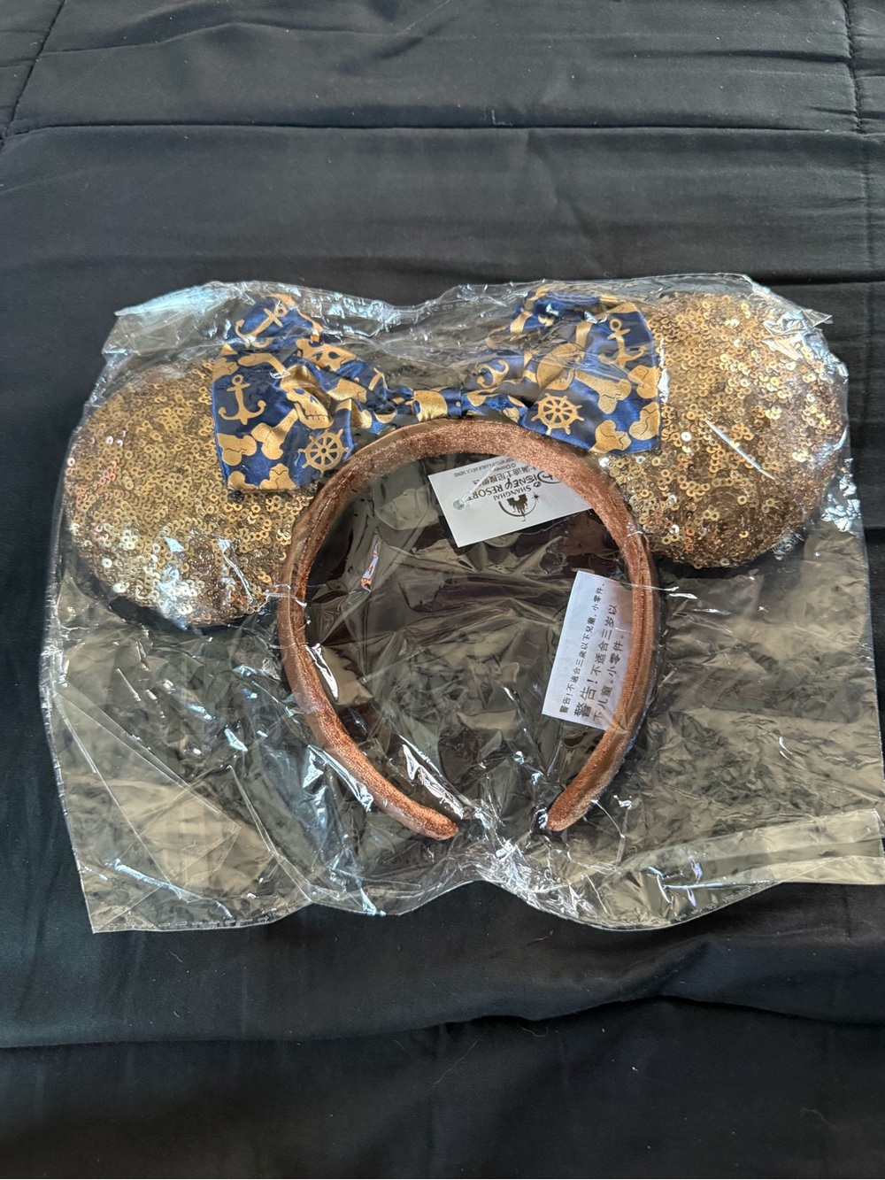 Pirate Mickey Ears